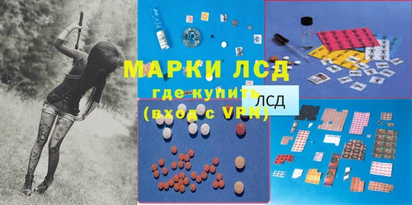 эйфоретик Аркадак
