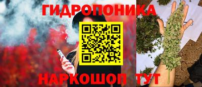 амф Ярцево