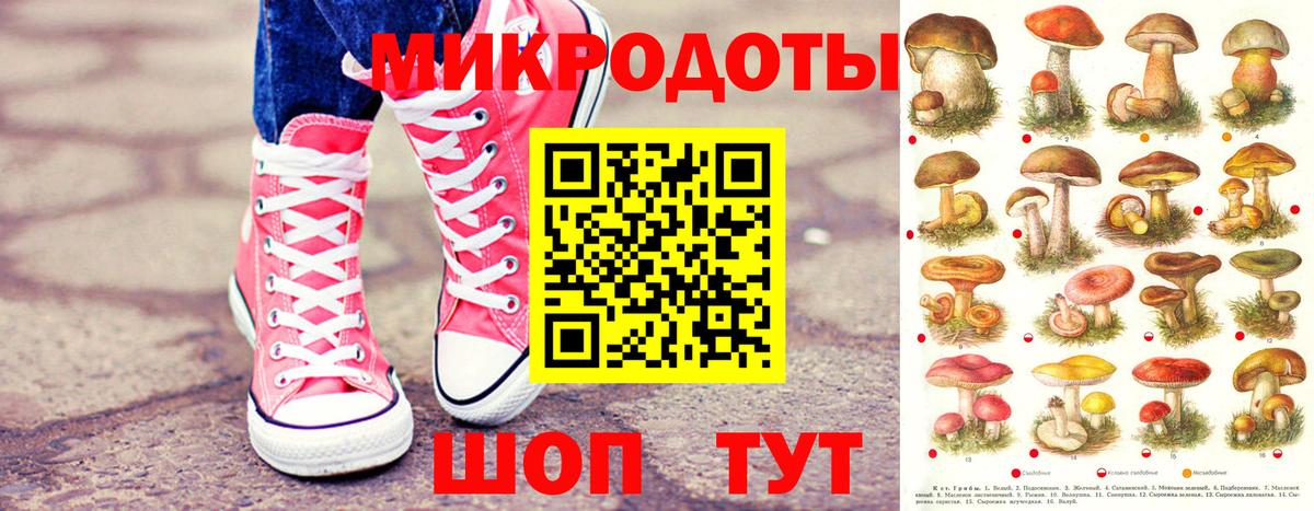 Галлюциногенные грибы Psilocybe Асбест